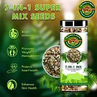 Mix Seeds for Immunity Booster Chia Seeds - 600gm-thumb3