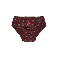 Stylish Cotton Printed Brief for Women, Pack of 10-thumb3