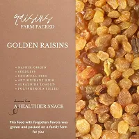 Premium quality golden Kishmish (Golden Raisins) 1 Kg-thumb1