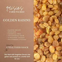 Seedless Golden Raisins Dried Kishmish Without Seeds, Dry Grapes| Kismish Darakh Dry Fruits, 1000 Gram-thumb2