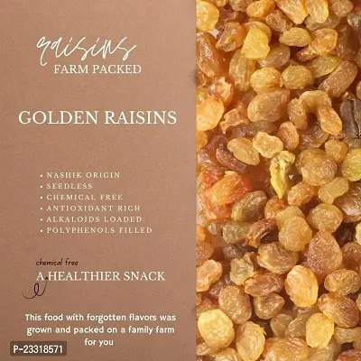 Seedless Golden Raisins Dried Kishmish Without Seeds, Dry Grapes| Kismish Darakh Dry Fruits, 1000 Gram-thumb3