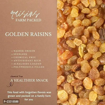 High Quality Golden Raisins 1 kg-thumb3