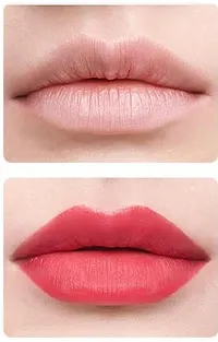 Classic 15 Color Cosmetic Makeup Lipstick Lip Gloss Lip Cream Palette-thumb1