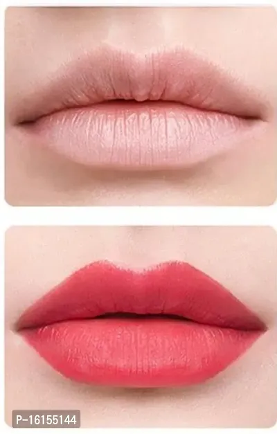 Classic 15 Color Cosmetic Makeup Lipstick Lip Gloss Lip Cream Palette-thumb2