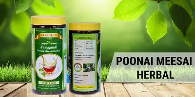 BARBIFLORE HERBS Poonai Meesai - Pack of 125g - Orthosiphon Stamineus | Java Tea Leaf | Cat Whiskers | Seeraga Thulasi (Dried)-thumb1