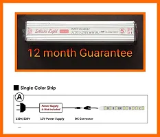 Home APPLIANCES LED Light Strip + with LED Driver Bright LED Strip Lights for Decoration 4000K LED Strip Flexible Rope Lights, Lighting (Red, 5 Meter)-thumb2