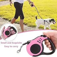 Retractable Dog  Automatic Leash-thumb3