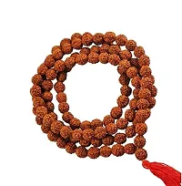 5 Mukhi Rudraksha Mala for Men/Women Wearing Natural Brown Rudraksha Beads - Pack of 1-thumb3