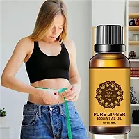 Fat oil fat loss ginger Massage Oil, Belly pure  Ginger Oil 60 ML,Tummy Ginger Massage Ginger Oils,Ginger Massage Oil for Lymphatic Drainage,Arnica Oil,100% Natural Massage Oil (30ml ) (Pack of 2)-thumb2