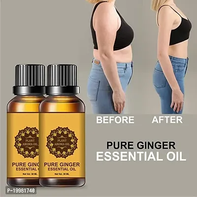 Neturel Ginger Oil Drainage, Weight Loss Fat loss oil Belly is  Pure Ginger Essential Oil, Pack of 2-thumb2