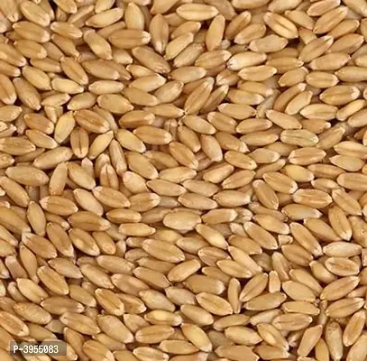 Wheat 2 kg-Price Incl.Shipping-thumb0