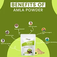 Hashpop Natural Dry Amla Powder For Anti Hair Fall Anti Dandruff Hair 200Gm Pack Of 1-thumb3