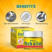 itch coat Anti fungal Malam - for Ringworm, itching, Eczema  Fungal Infection Ayurvedic Products-thumb3