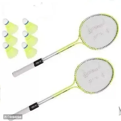 nbsp;Nylon Shuttle Cock Badminton Kit