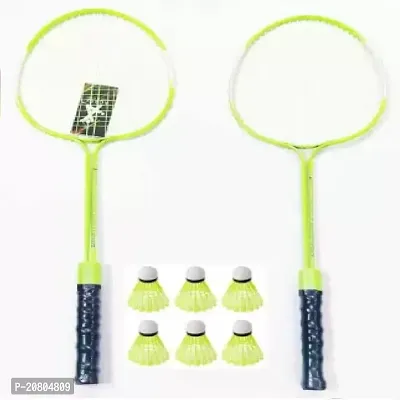 nbsp;Nylon Shuttle Cock Badminton Kit