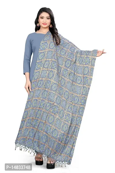 Grey Color Poly Georgette Dupatta-thumb2