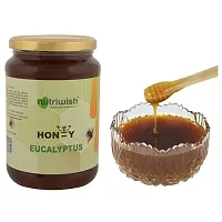 1 kg Eucalyptus Honey - Pure Eucalyptus Honey-thumb1