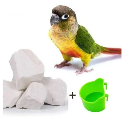 Pack of 1- 475 Grams Natural Lime Blocks for Pet Birds
