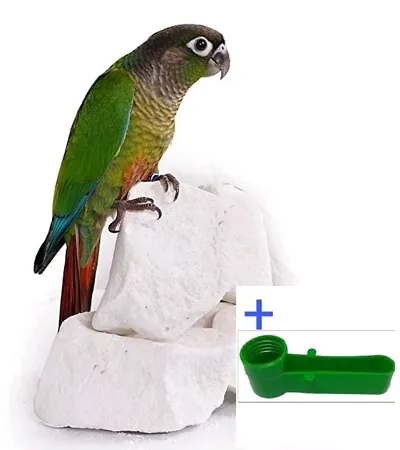 Pack of 1 - 480 Grams Natural Lime Blocks for Pet Birds