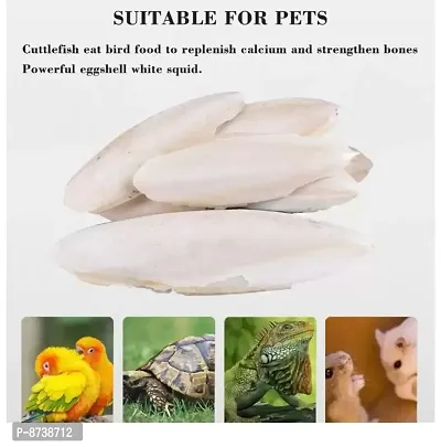 Pack of 480 Grams Of Natural Lime Blocks and Cuttlefish Bone for Pet Birds-thumb2