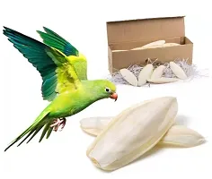 Pack of 480 Grams Of Natural Lime Blocks and Cuttlefish Bone for Pet Birds-thumb2