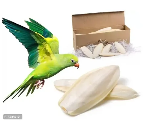 Pack of 480 Grams Of Natural Lime Blocks and Cuttlefish Bone for Pet Birds-thumb3