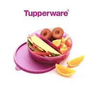 Tupperware Kids Divided Dish Kids Lunch Box (191), Color May Vary, 300 Ml, Plastic, 1 Piece-thumb3