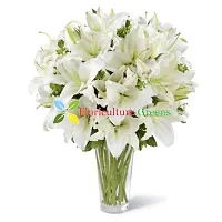 Floriculture Greens Winter Flower Bulbs Oriental Lily Imported Flower Bulbs for Home  Garden (Snow White, Pack of 6 Bulbs)-thumb3