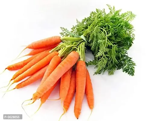 Yellow Carrot / Gajar Vegetables Seeds For Home Gardening Planting