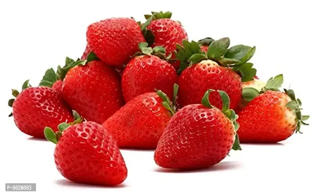 Strawberry Fruit Seeds For Home Gardening