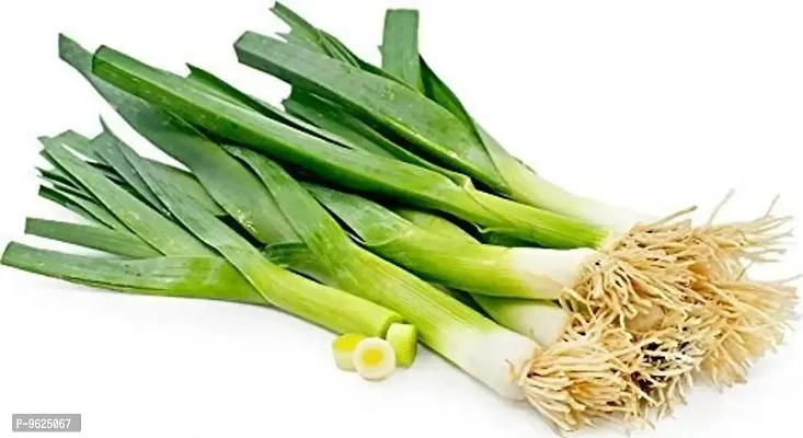 Leek Vegetable Seeds For Home Gardening Planting