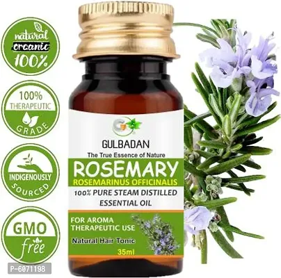 GULBADAN Rosemary Essential Oil therapeutic grade for Joints, Massage Hair Oil  (35 ml)