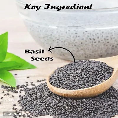 KAYABOOST BASIL SEEDS Seed  (200 g)-thumb4