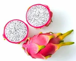 Dragon Fruit | Pack of 3 Plants| Live Plants | Best for Home Garden-thumb1