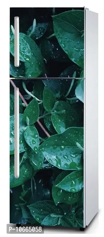 BP Design Solution Green Leafs Design Fridge Sticker Wallpaper for Fridge/ almirah /Table (Self Adhesive Vinyl, Water Proof (63x24 inch ) Double Door / Single Door