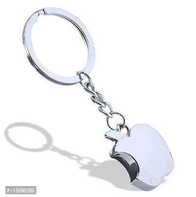 Carbiner Hook Keychains Keyrings For Bike And Car Keys