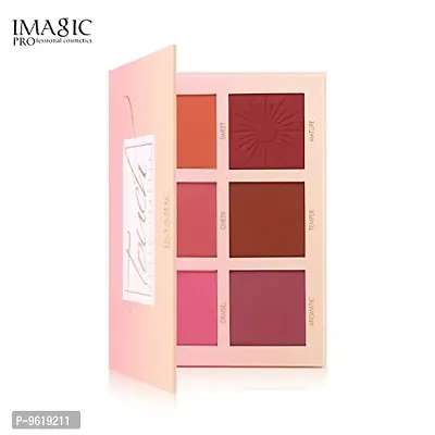 IMAGIC Professional Touch Blush 6 Super Color