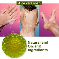 Aloe Vera Delightful Bathing Soap -100 Grams Each, Pack Of 5-thumb2