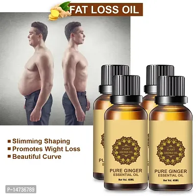 Ginger Essential Oil | Ginger Oil Fat Loss | Organics Herbal Fat Burner Fat loss fat go slimming weight loss body fitness oil Shape Up Slimming Oil For Stomach, Hips  Thigh (40ML) (PACK OF 4)-thumb0