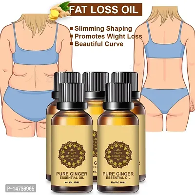 Ginger Essential Oil | Ginger Oil Fat Loss | Organics Herbal Fat Burner Fat loss fat go slimming weight loss body fitness oil Shape Up Slimming Oil For Stomach, Hips  Thigh (40ML) (PACK OF 5)