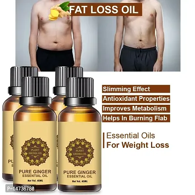 Ginger Essential Oil | Ginger Oil Fat Loss | Organics Herbal Fat Burner Fat loss fat go slimming weight loss body fitness oil Shape Up Slimming Oil For Stomach, Hips  Thigh (40ML) (PACK OF 4)