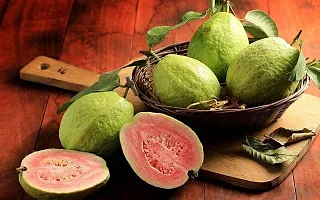 Earth Angels Guava Plant Vamsha Red Flesh Guava Fruit Plant Amrud Plant-thumb2