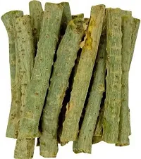 Giloy Plant  Giloy Stick 20 per packet XPlant Box-thumb1