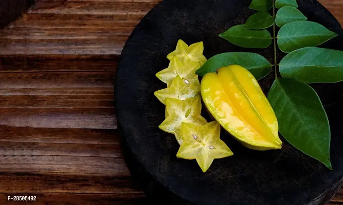 Star Fruit Carambola Grafted Plant  Star Fruit Carambola Grafted Plant