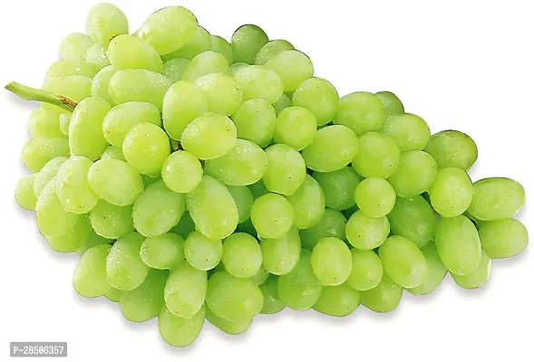 Grapes Plant  Green seedless Grape Fruit Plant-thumb0