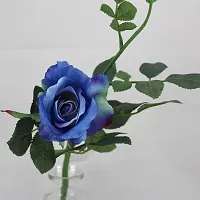 Rose Plant  Blue Rose Plant  33-thumb1