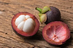 Mango Plant  Plant  MANGOSTEEN3-thumb1