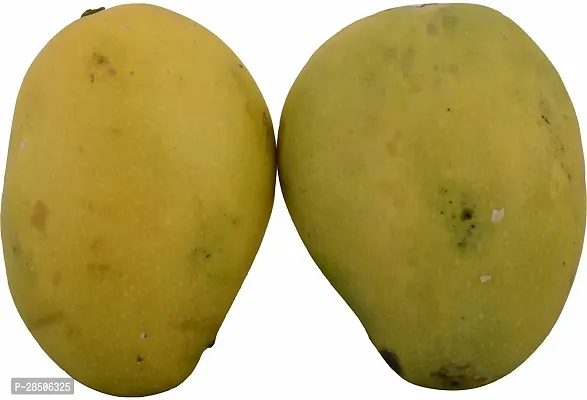 Rare BadamiMango Fruit Live Mango Fruit Live Plant  Badami-thumb0