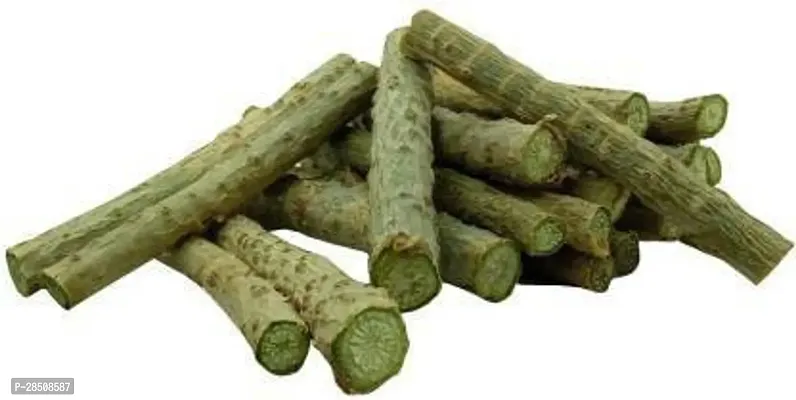 Giloy Plant  Giloy Stick 20 per packet XPlant Box