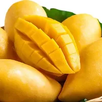 Earth Angels Mango Plant Thai mango plant68-thumb1